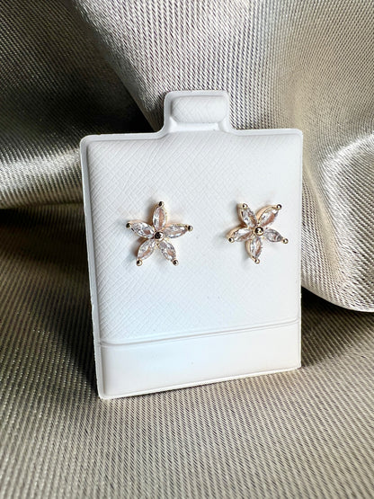 Aretes stargazer